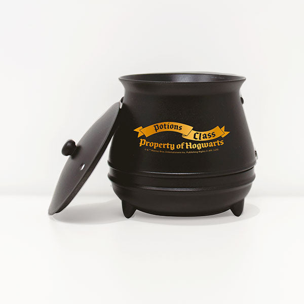 Harry Potter Magische Ketel Potion Class Property Of Hogwarts